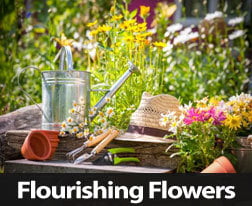 Simple Tips To Help Your Flowers Flourish This Spring